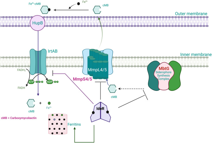 Fig. 4