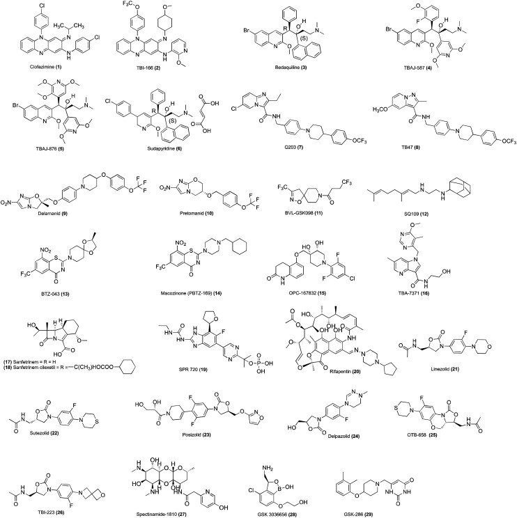 Fig. 1