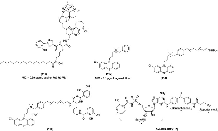 Fig. 11