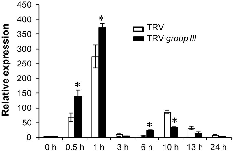 FIGURE 6