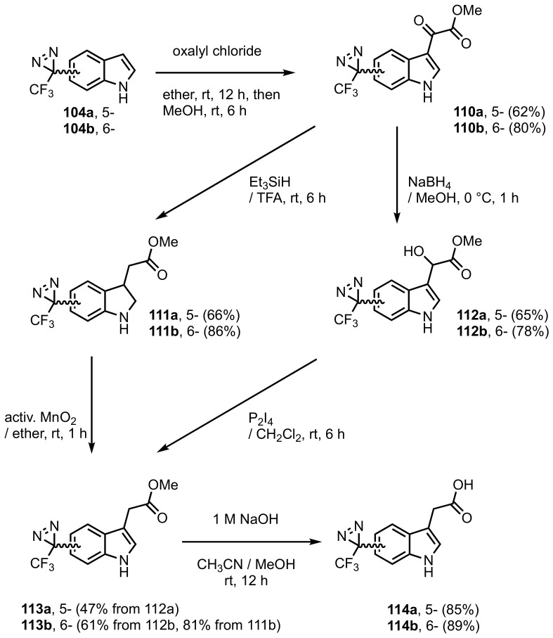 Scheme 16