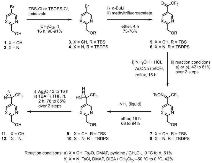 Scheme 1