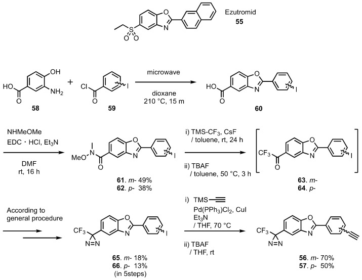 Scheme 9