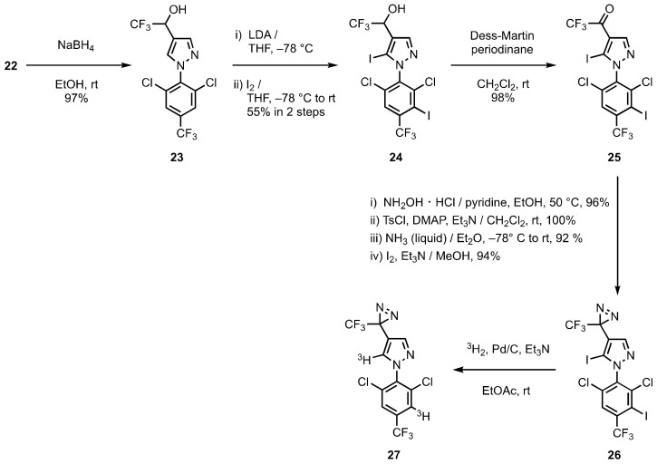 Scheme 5