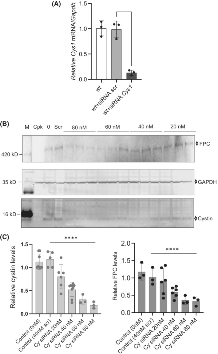 FIGURE 3