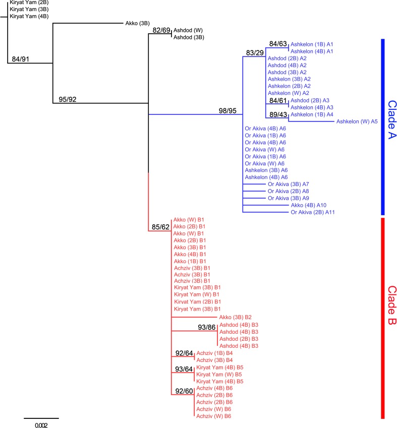 Fig. 6