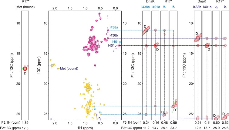 Figure 3—figure supplement 2.