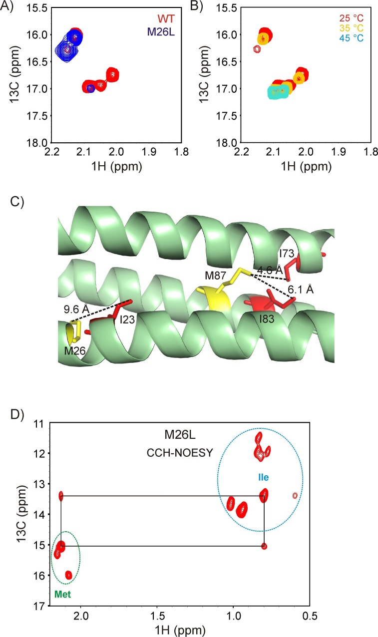 Figure 3—figure supplement 1.