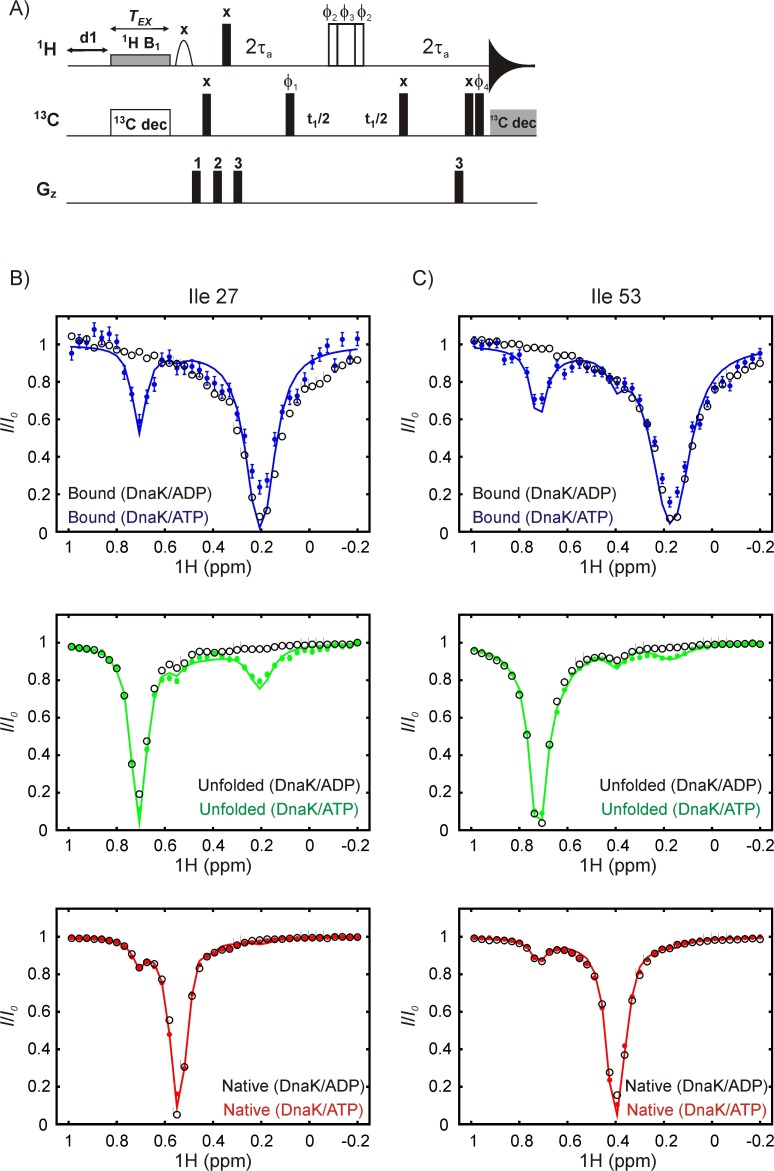 Figure 6—figure supplement 1.