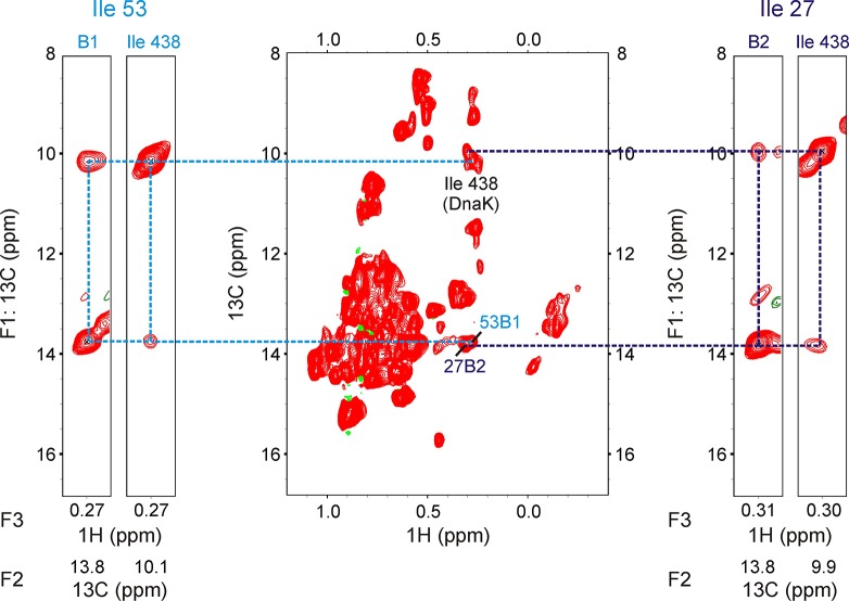 Figure 5—figure supplement 1.