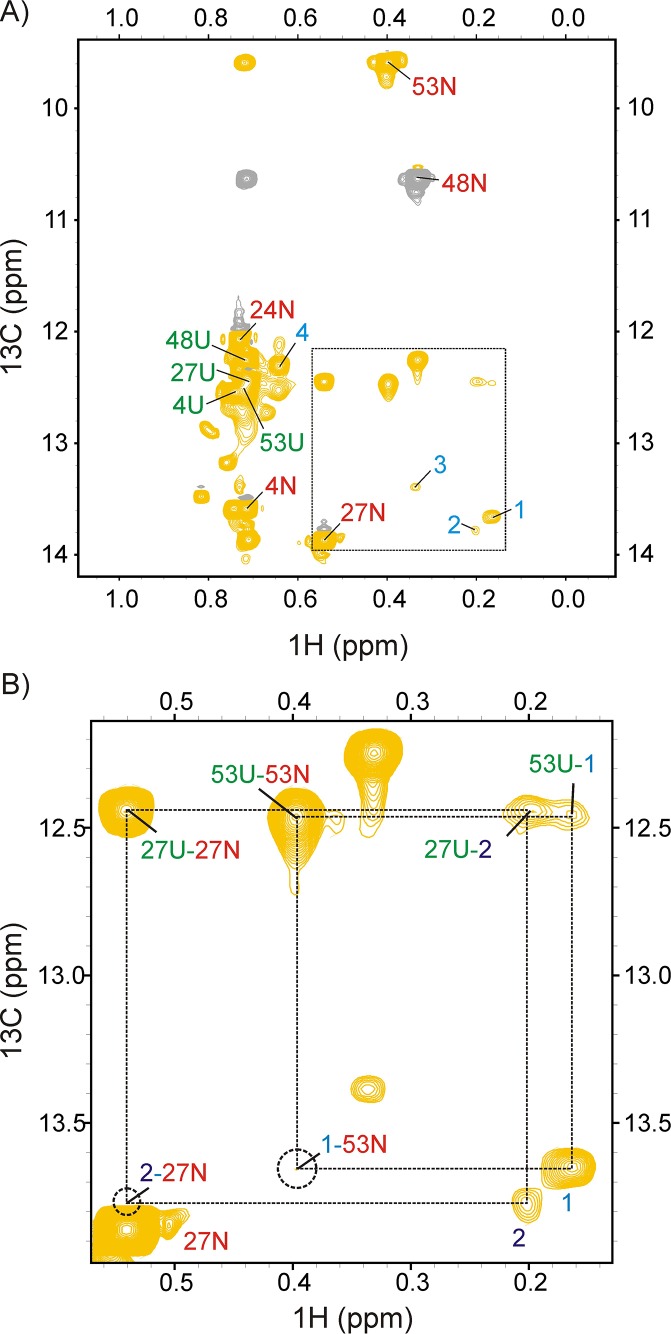 Figure 6—figure supplement 2.