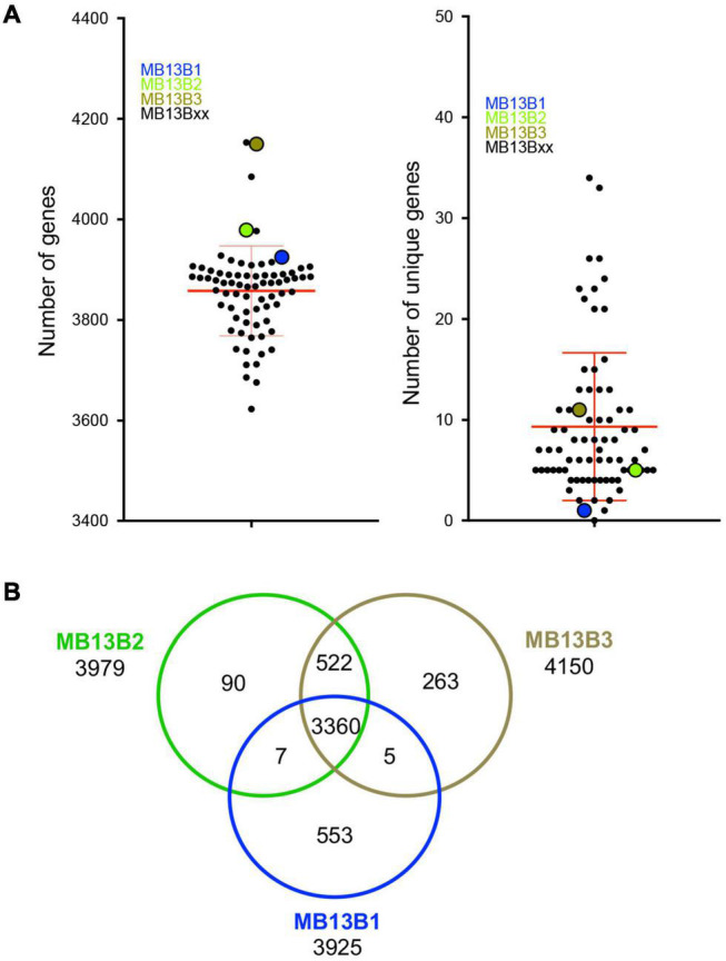 FIGURE 3