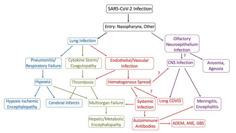 Figure 2: