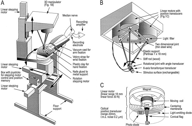 Fig. 1.