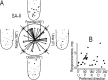 Fig. 9.