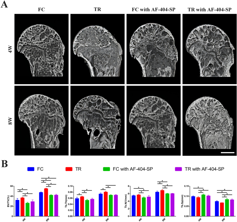 Figure 6