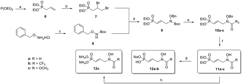 Scheme 1.