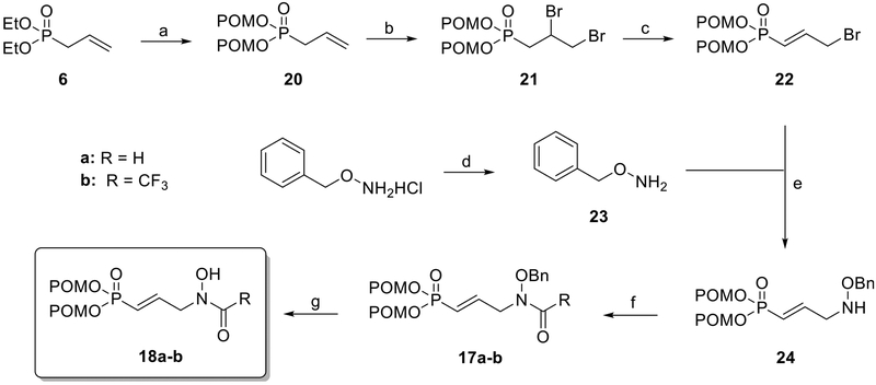 Scheme 4.