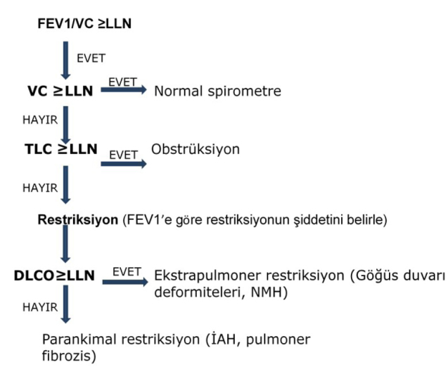 Şekil 19