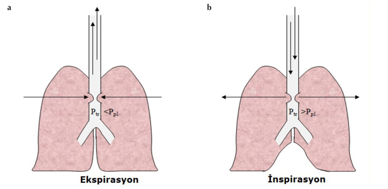 Şekil 9. a, b