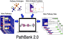 Graphical Abstract