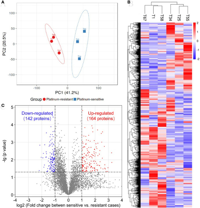 Figure 1