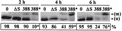 FIG. 5