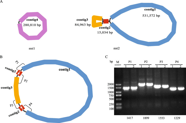 Fig. 1