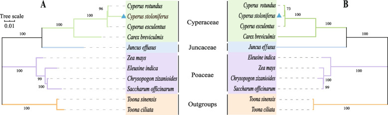 Fig. 7