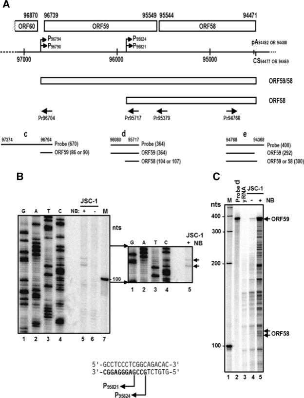 FIG.4.