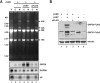 FIG. 7.