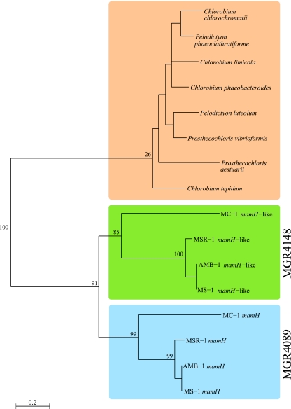 FIG. 3.