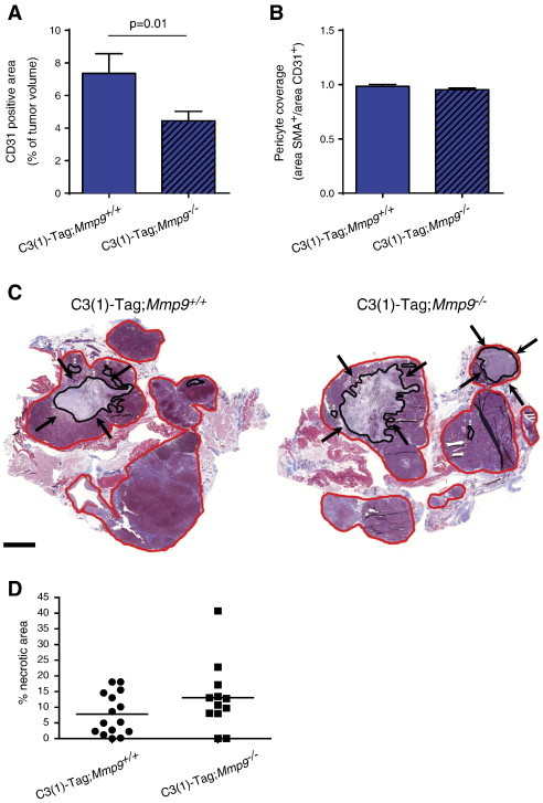 Figure 5