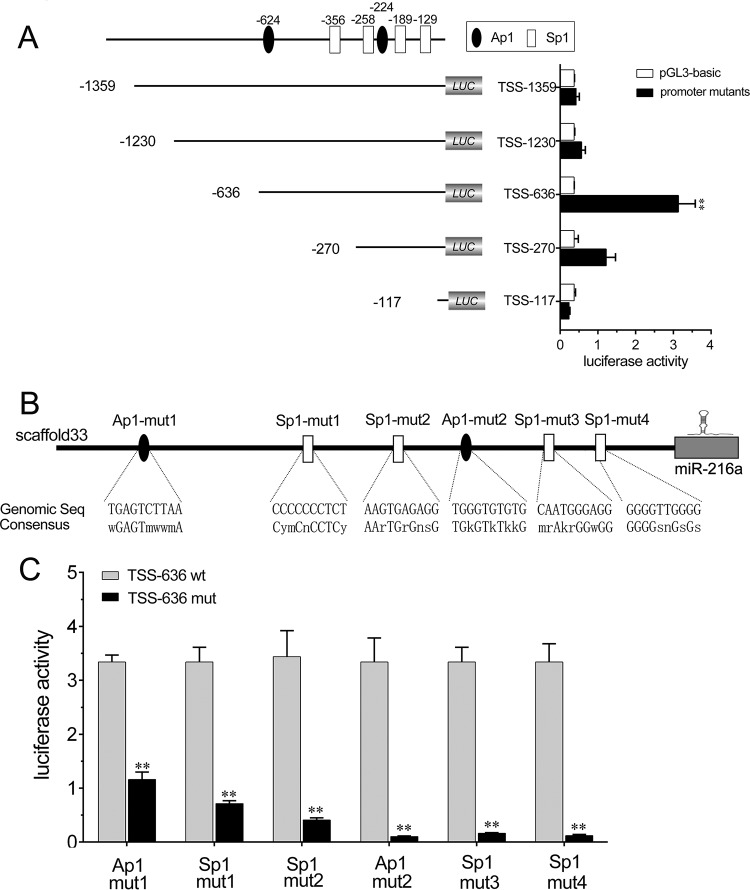 FIG 2