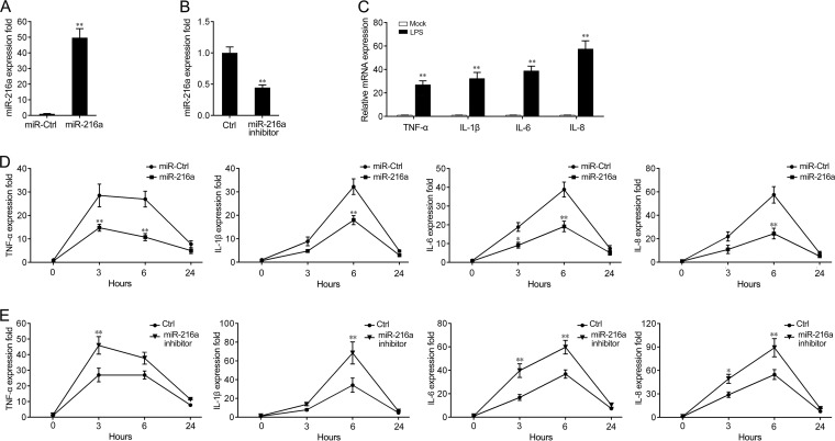 FIG 3