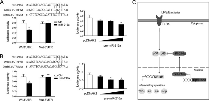 FIG 8