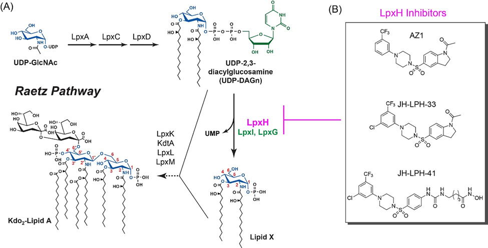 Figure 1.