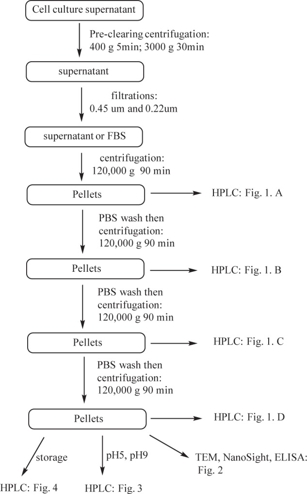 Scheme 1.