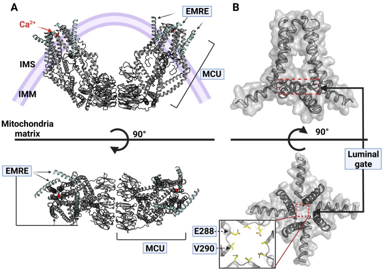 Fig. 3