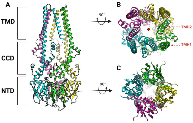 Fig. 1