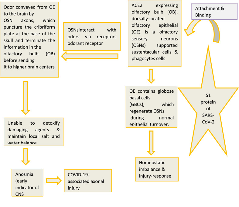 Fig. 1b