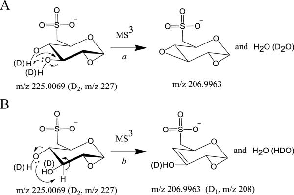 Scheme 4