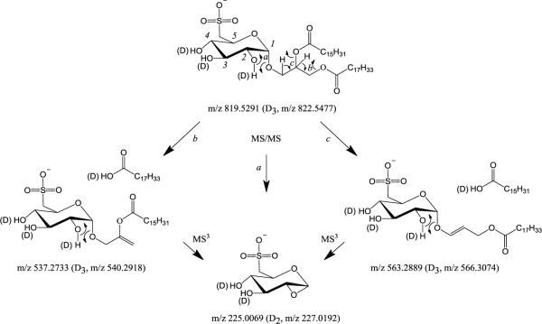 Scheme 2