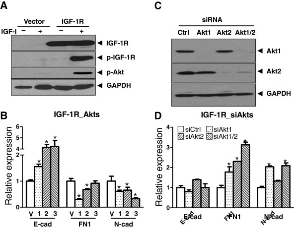 Figure 4 