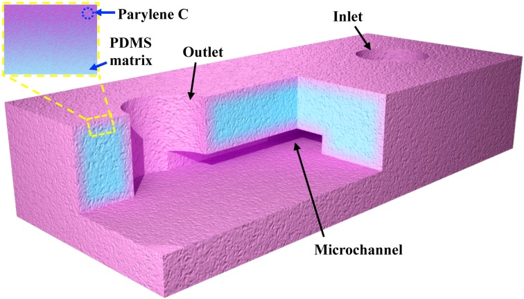 FIG. 1.