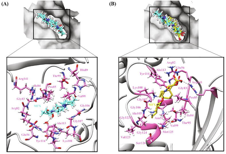 Fig. 10