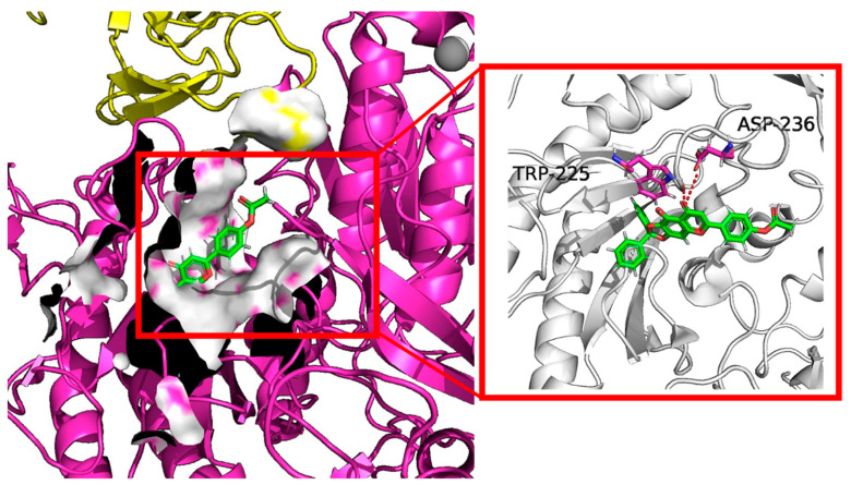 Figure 7