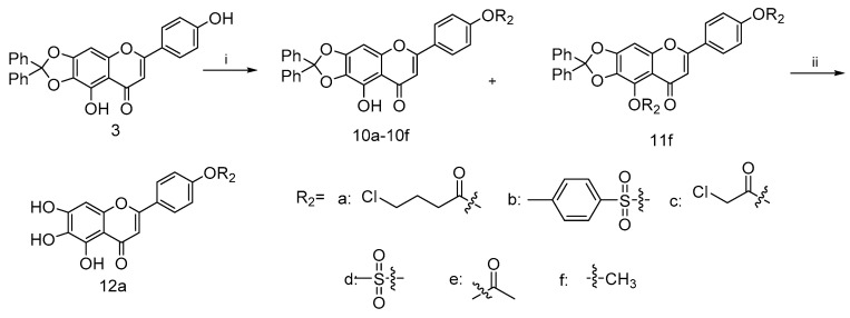 Scheme 2