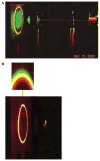 Fig. 9