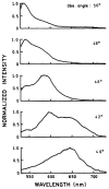Fig. 14